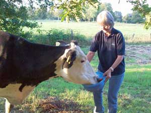 Christa Blanke, fondatrice et directrice d'Animals Angels Christa Blanke, fondatrice et directrice d'Animals Angels