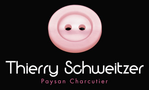 logo Thierry Schweitzer logo Thierry Schweitzer
