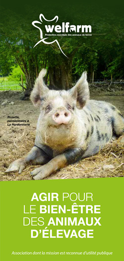 dépliant de Présentation de WELFARM