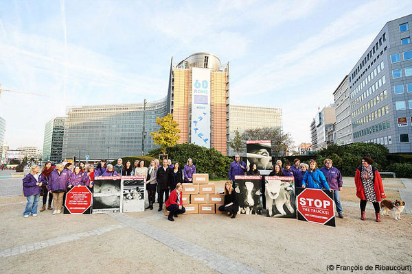 Eurogroup for Animals devant la commission Européenne de Bruxelle