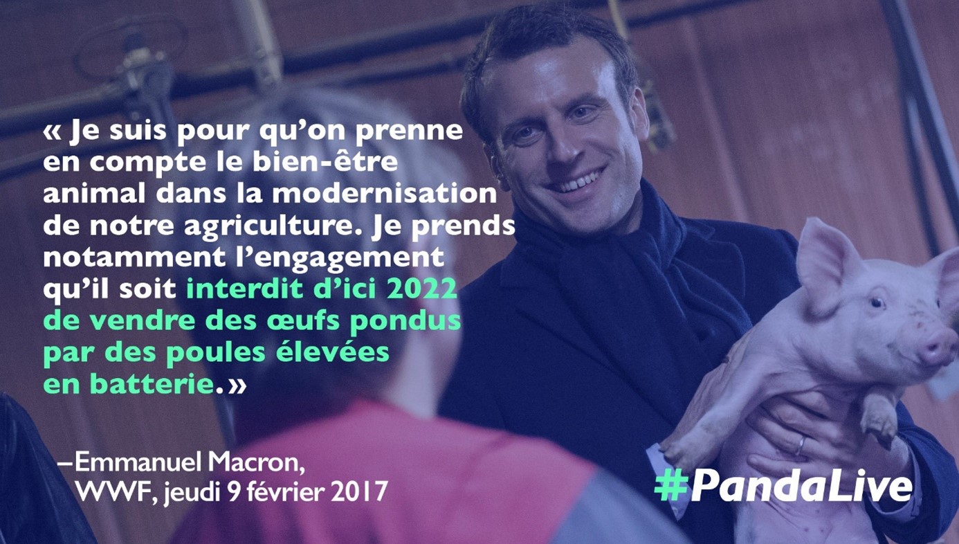 tweet d'Emmanuel Macron