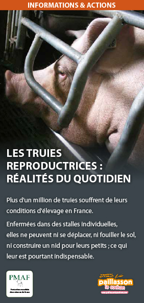 Tract truies
