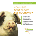 Dépliant Comment sont élevés les cochons ?