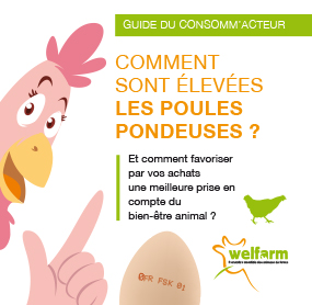 Dépliant Quels oeufs choisissez-vous ? - Campagne Poules pondeuses