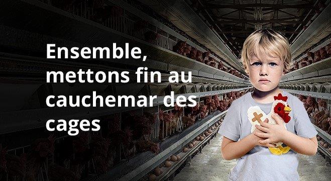 Tous unis contre l'élevage en cage