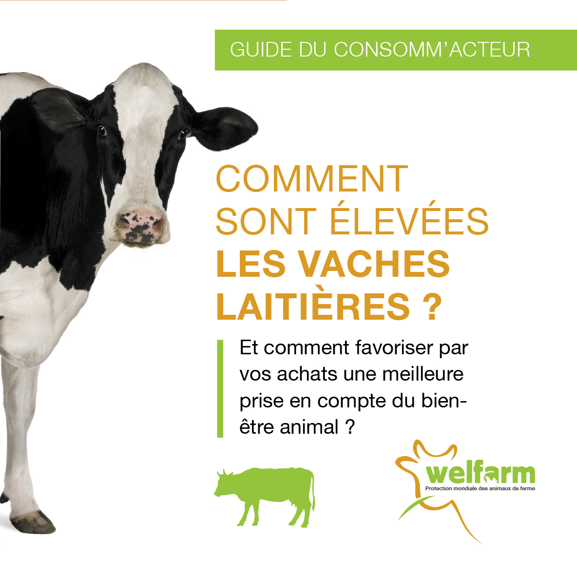 Dépliant Comment sont élevées les chèvres ?