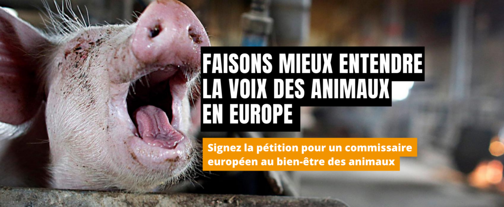 Faisons mieux entendre la voix des animaux en Europe