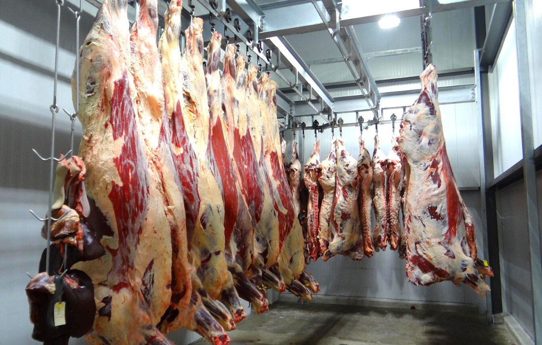 Des carcasses de bovins accrochées et alignées dans un abattoir.