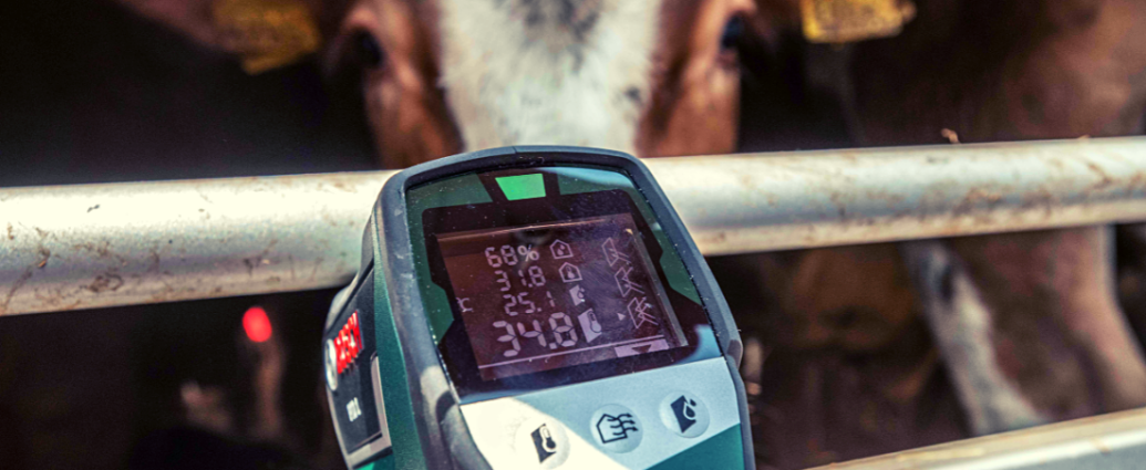 Un thermomètre affichant 34,8 degrés est pointé en direction d'un camion transportant des bovins.