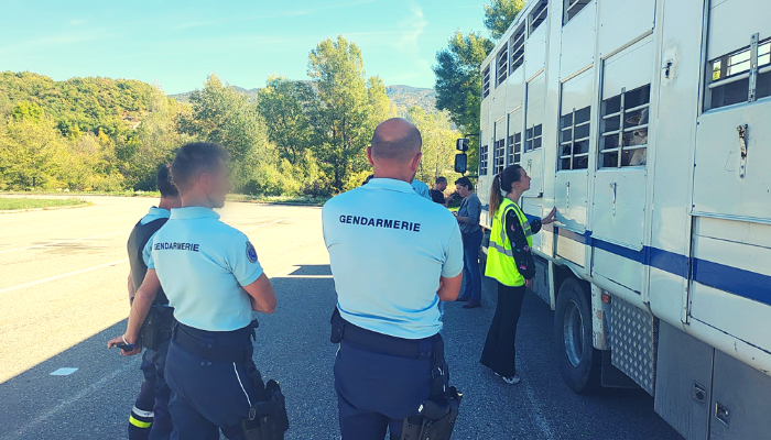 Membre de Welfarm accompagnée de 3 gendarmes lors d'un contrôle de transport d'animaux vivants à Gap en 2022