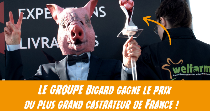 Un homme avec un masque de cochon et un costume brandit un trophée.