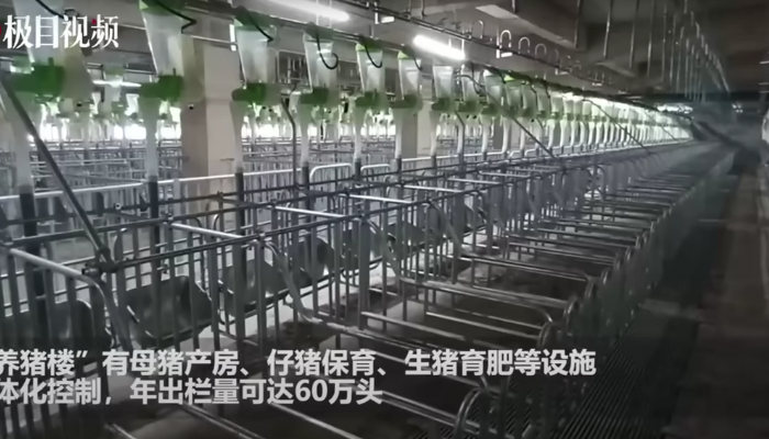 Photo de l'intérieur de la plus grande ferme-usine au monde dans le Chine.
