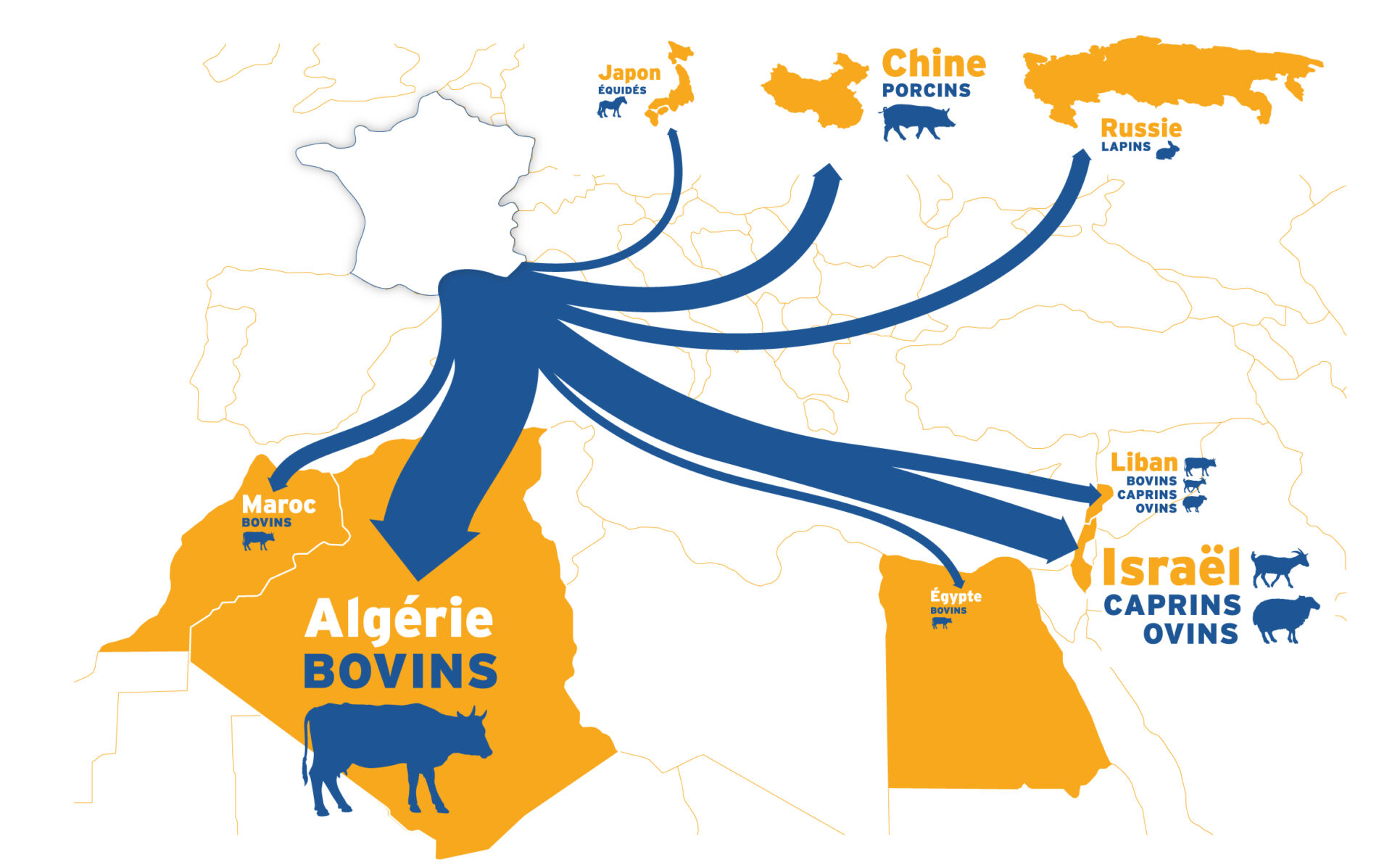 Carte des exportations des animaux vivants depuis la France vers l'Algérie, le Maroc, Israël, le Japon, la Chine, et la Russie.