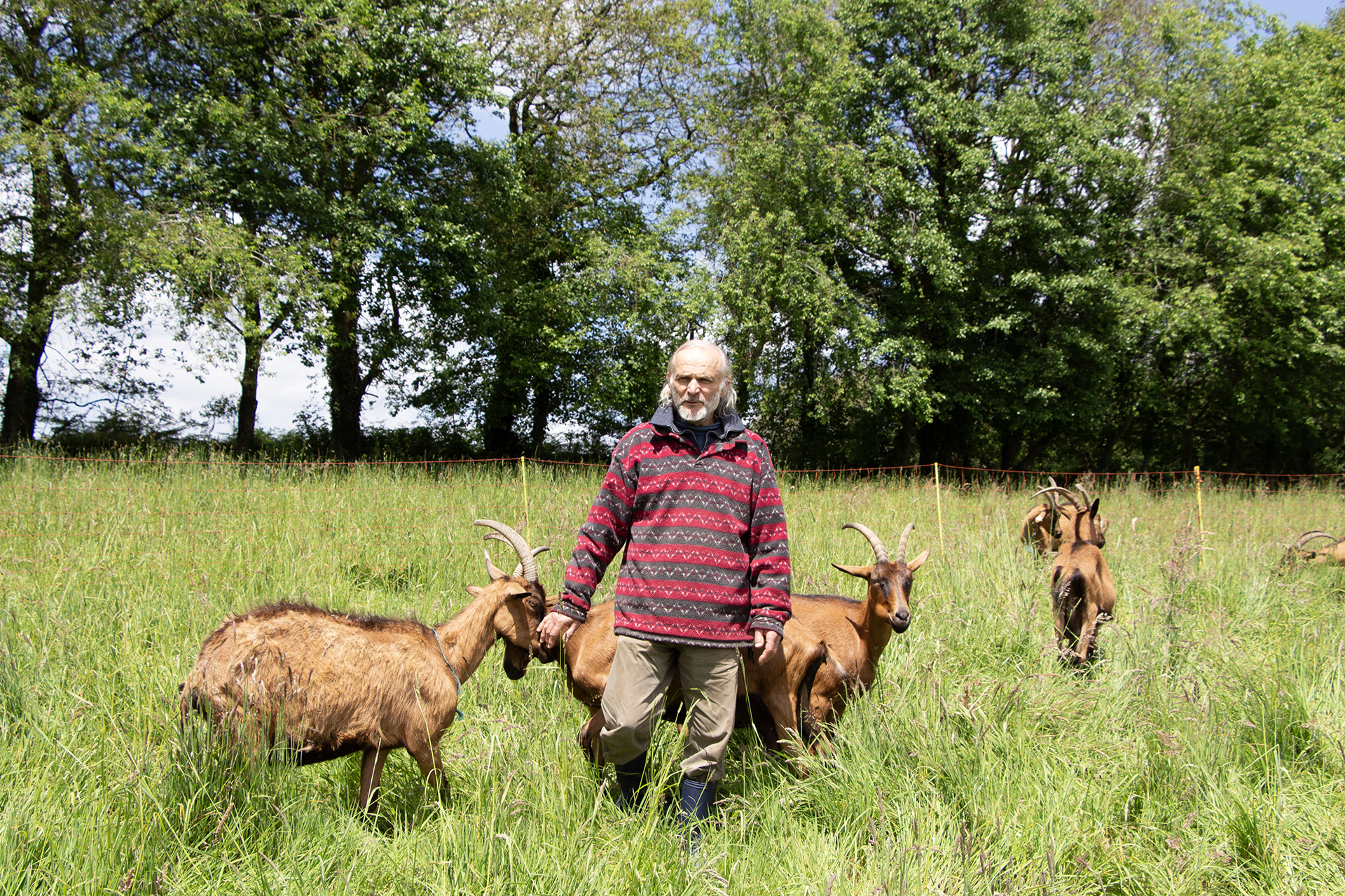 Jean Yves Ruelloux et ses chèvres