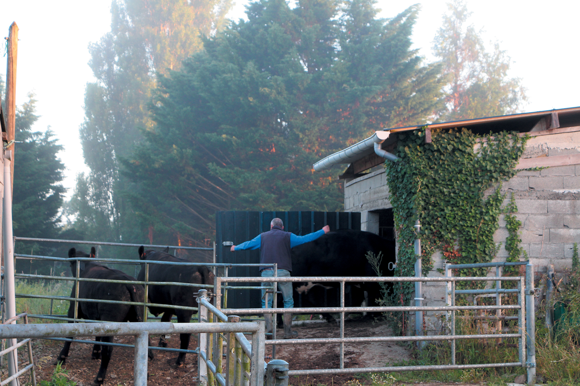 Ferme EBEN 1