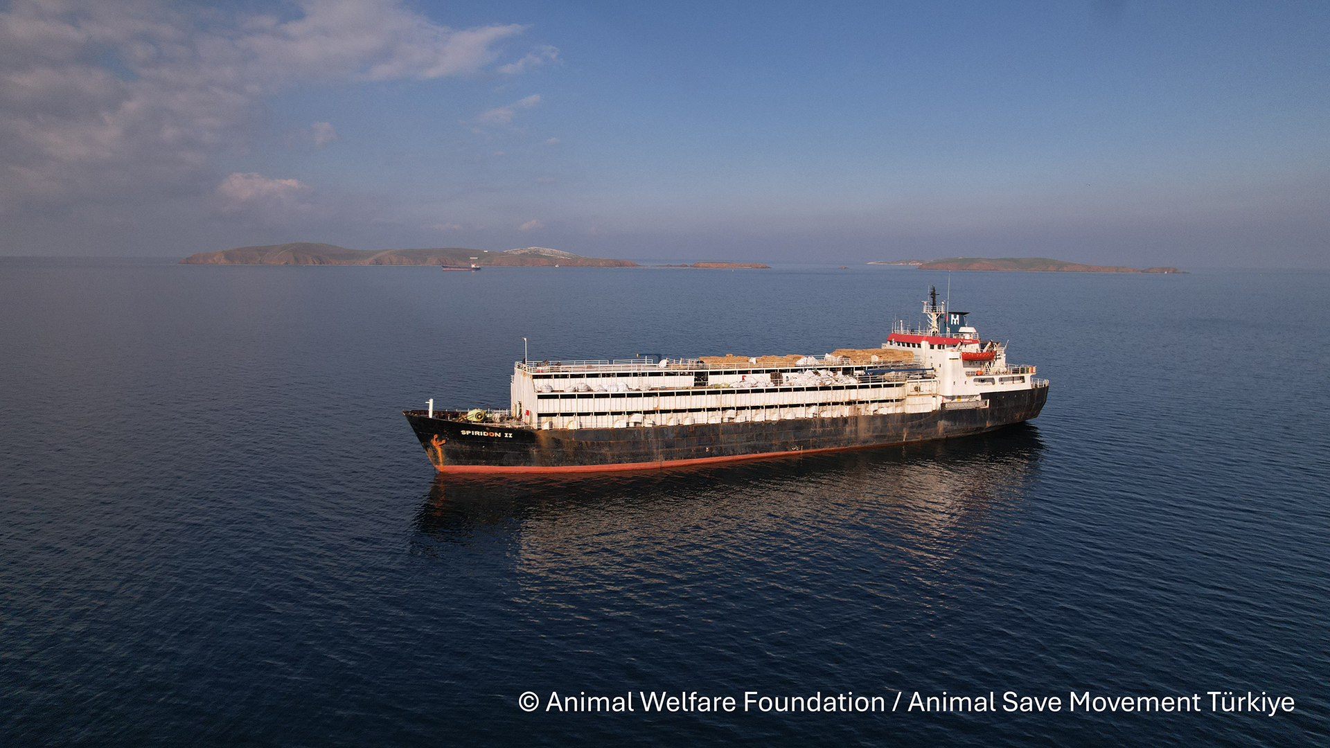 Le navire bétailler « Spiridon II », à l'ancre au large de Bandirma, en Turquie. Navire bétailler à l'ancre