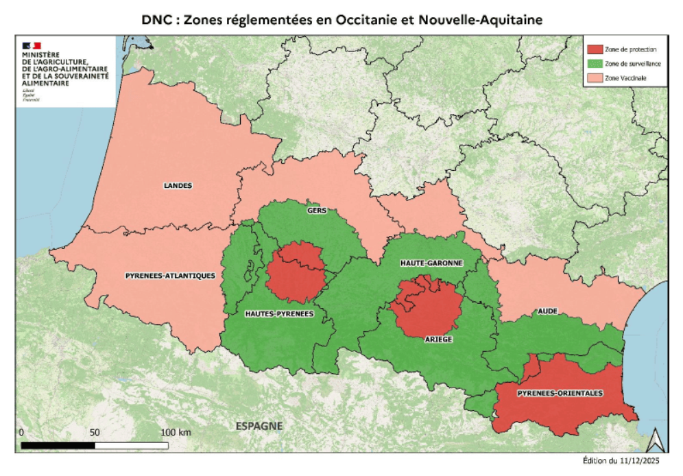 Capture d'écran 2025-12-15 134943