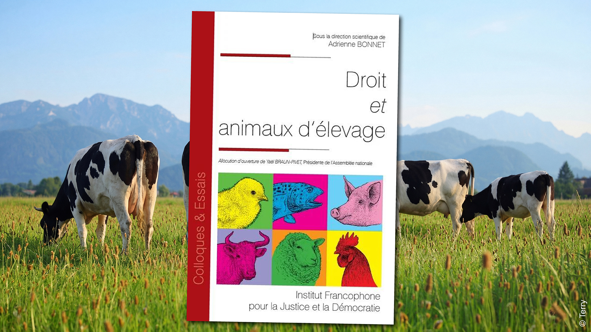 Livre droit et animaux d'élevage Livre droit et animaux d'élevage