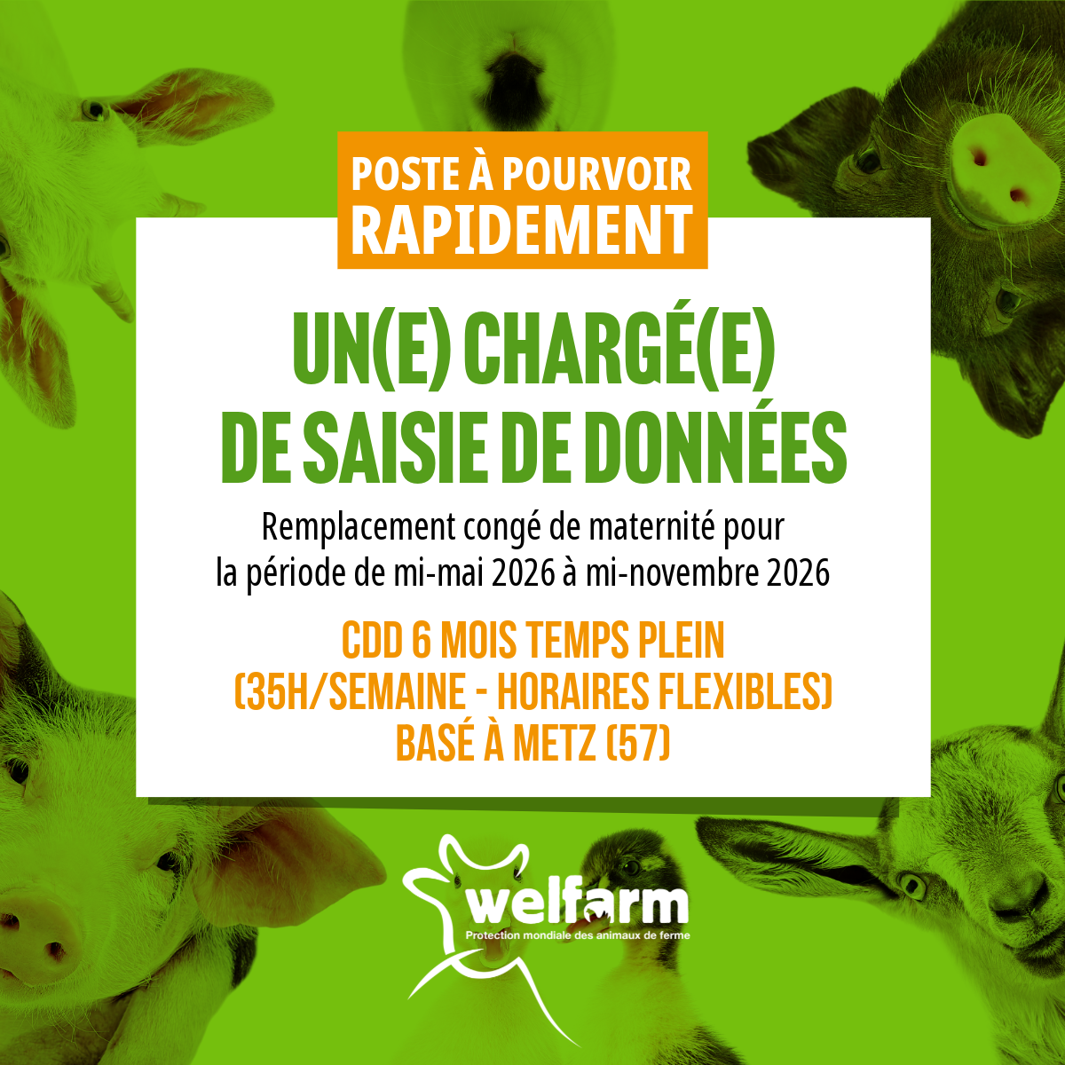 Poste à pourvoir : chargé(e) de saisie