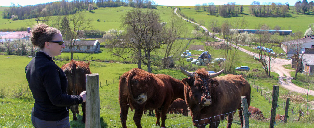 Eleveuse et ses vaches