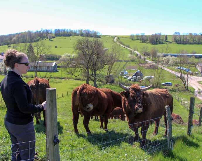 Eleveuse et ses vaches