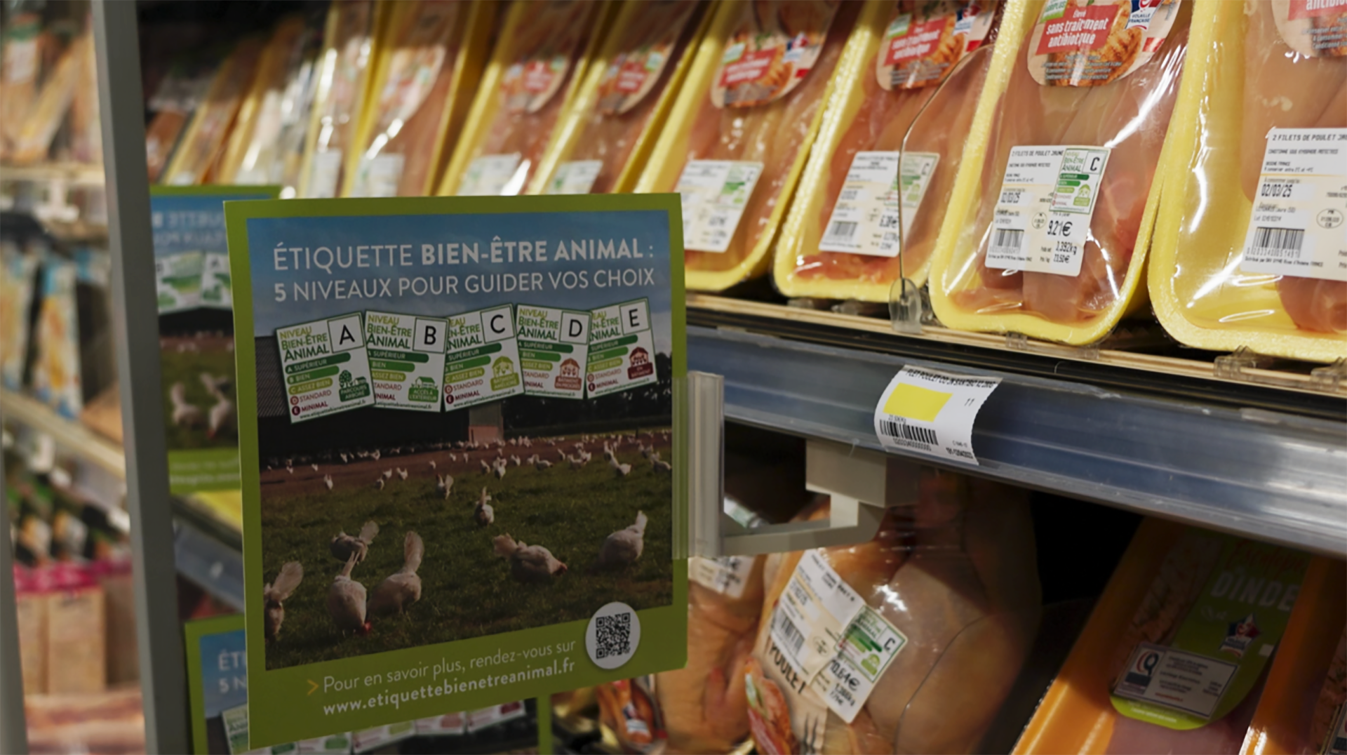 AEBEA Carrefour Barquettes de poulet avec étiquette bien-être animal