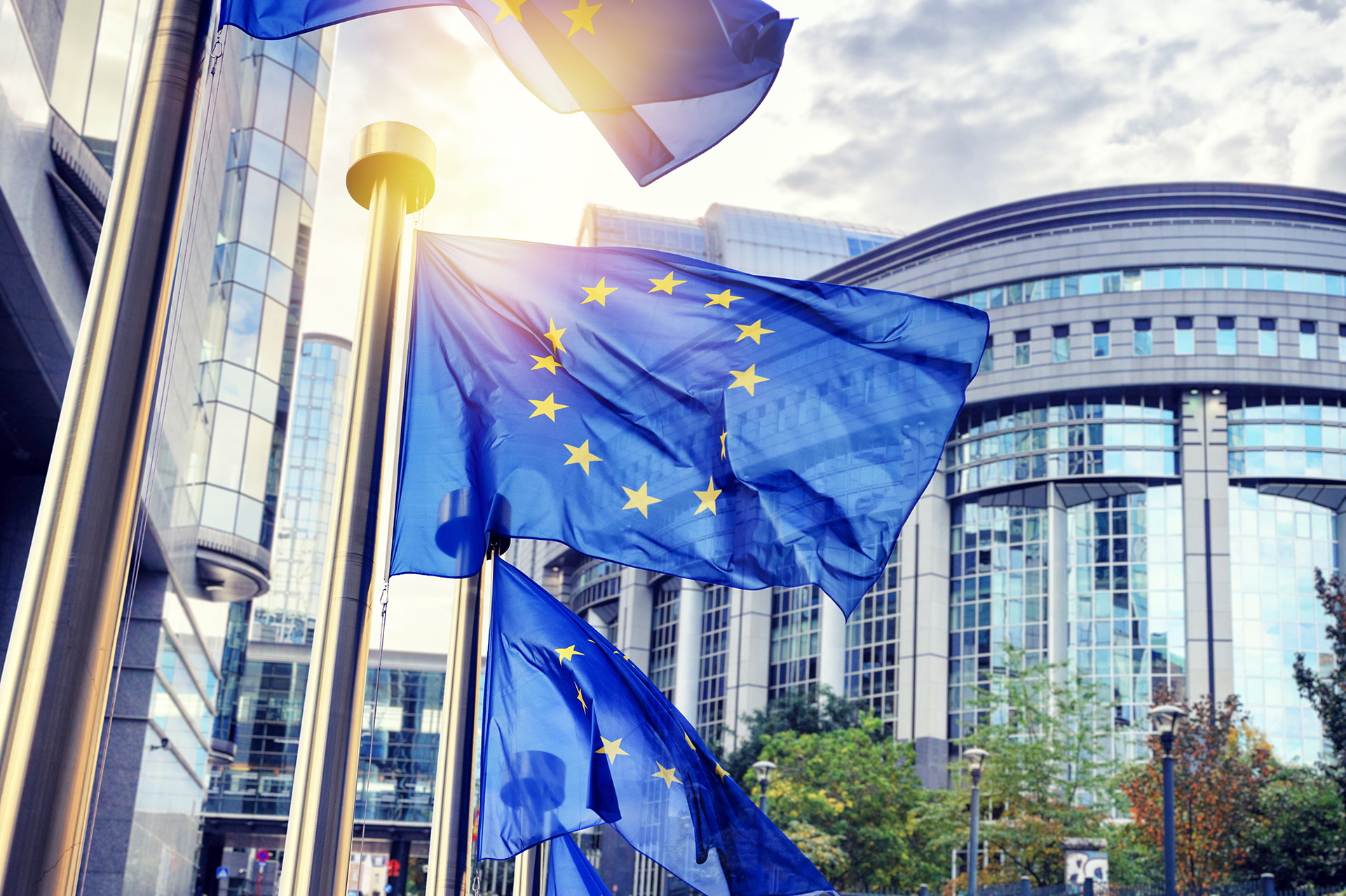 La Stratégie européenne sur l’élevage contient plusieurs annonces politiques majeures en matière de bien-être animal La Stratégie européenne sur l’élevage contient plusieurs annonces politiques majeures en matière de bien-être animal