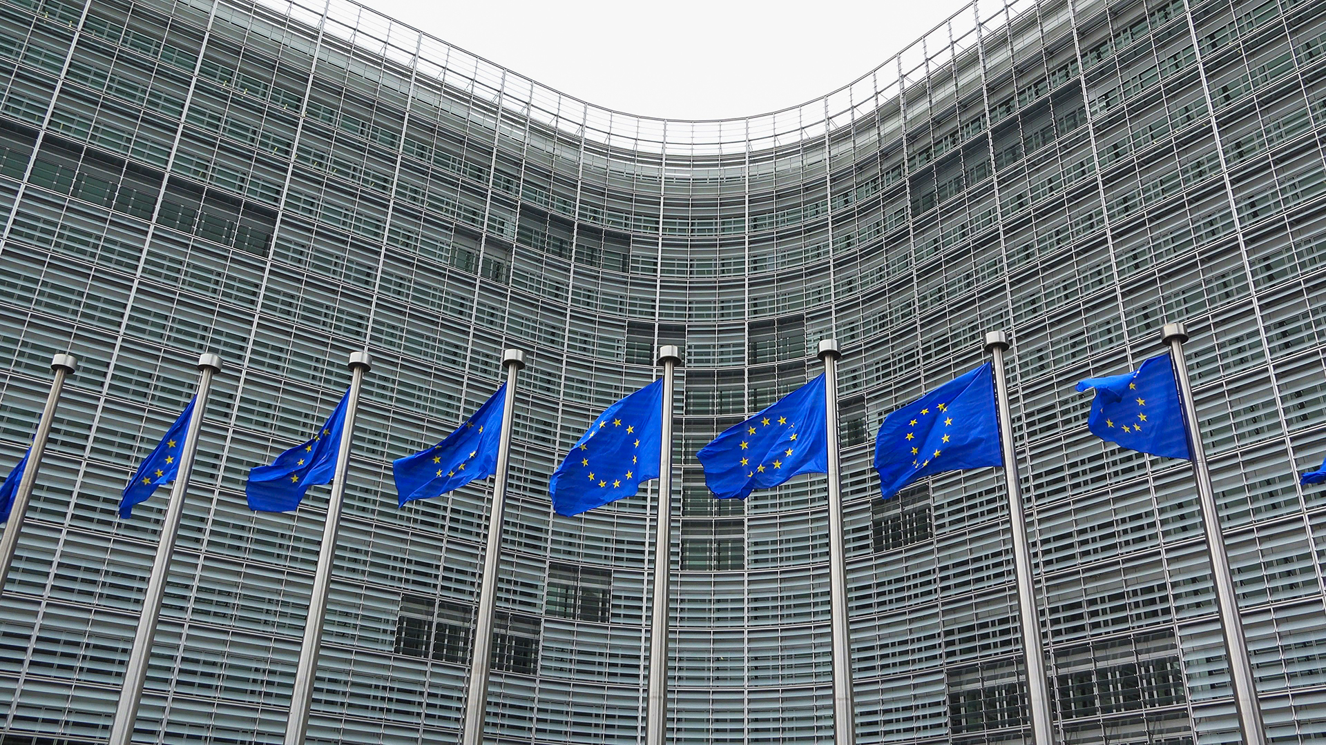 Mise à mort des animaux : ce qui change dans la réglementation européenne Commission européenne