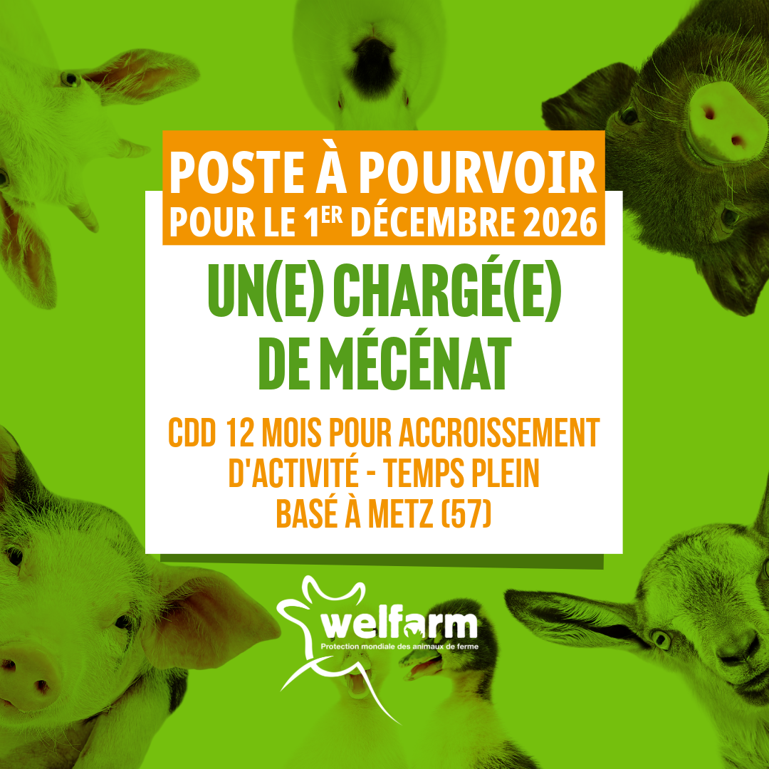 Poste à pourvoir - Chargé(e) de mécénat
