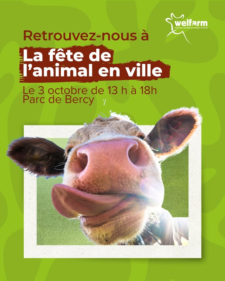 Welfarm