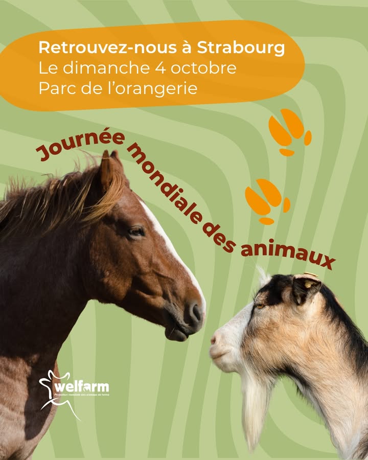 Welfarm