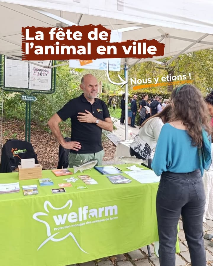 Welfarm